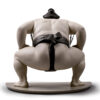 SUMO FIGHTER - Image 2