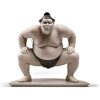 SUMO FIGHTER