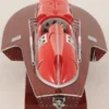 Model Arno XI - Image 5